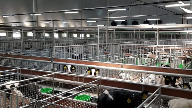 小服装店代运营：揭秘提升转化率的五大关键步骤